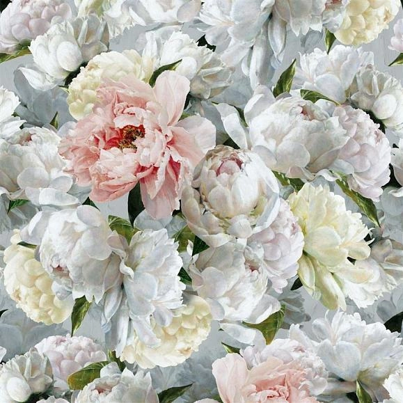 Флизелиновые обои Designers guild PDG1102/01 коллекции Foscari Fresco