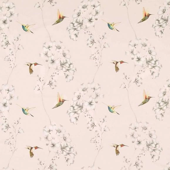 Колибри, Harlequin H120979