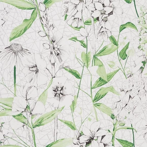 Флизелиновые обои Designers guild PDG1050/01 коллекции The Edit...Flowers Volume 1